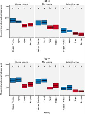 The Structure of the Barley Husk Influences Its Resistance to Mechanical Stress
